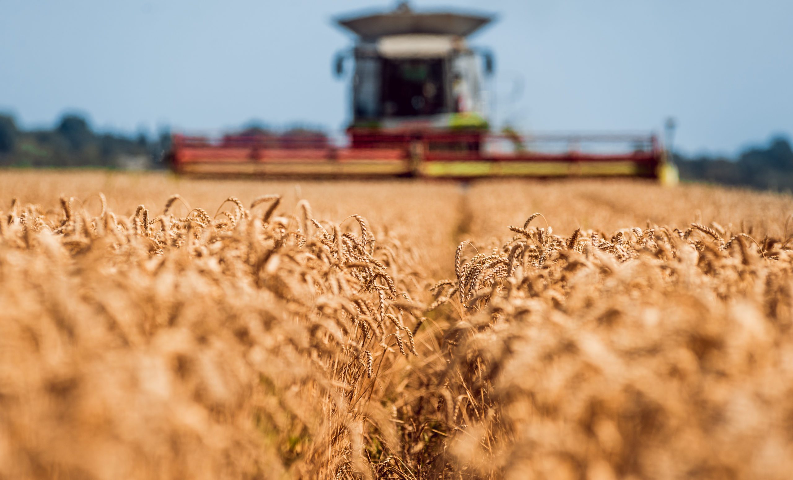 GET HARVEST READY NOW